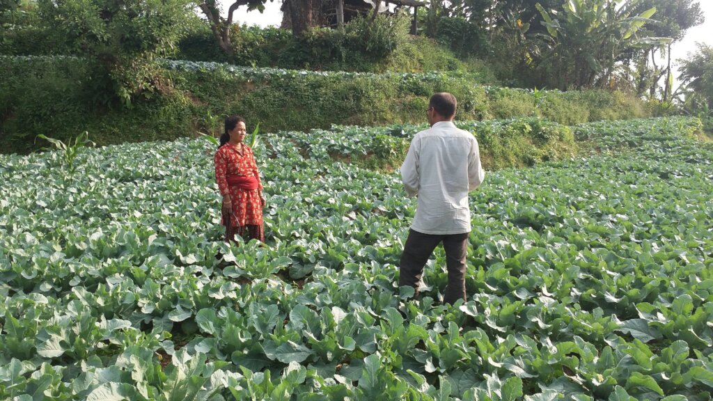 Save life of flood affected victims in Nepal