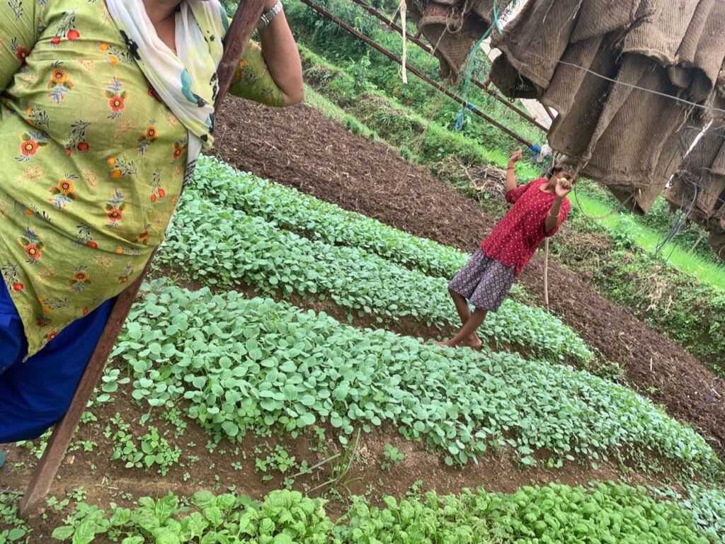 Save life of flood affected victims in Nepal