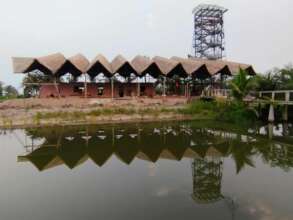 Trying to complete the mangrove center