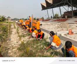 Creating mangrove belt in SMC center