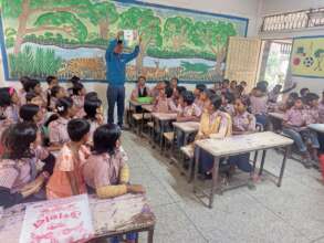 Mangrove Education at school level