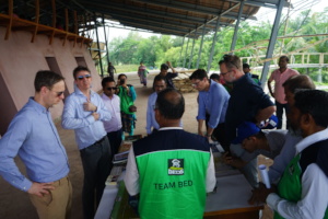 Sharing some knowledge on Sundarbans