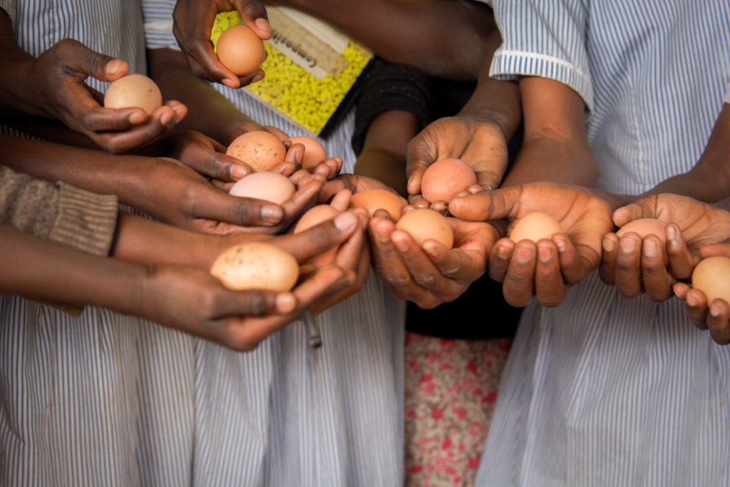 #GivingTuesday - Health and Education in Uganda