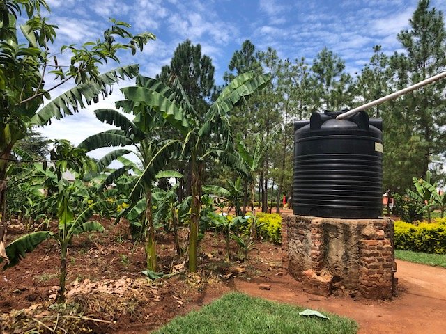 Bio-latrine