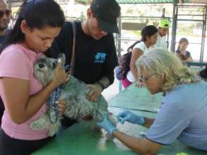 Vaccination campaign February 23rd 2020