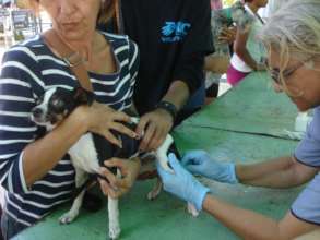 Vaccination campaign February 23rd 2020