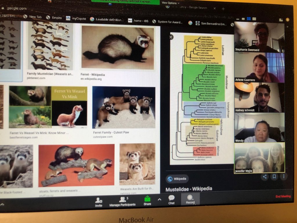 Support for Students Devastated by Homelessness