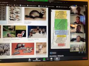 Online Tutoring in Action