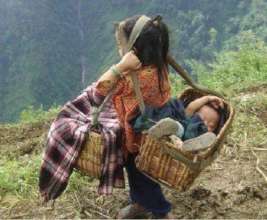 Improving Academic Performance of Girls in School