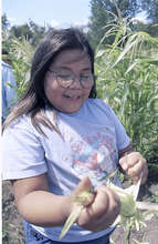 Native American Diabetes Garden Project