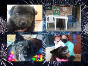 Kaila's life in four pics