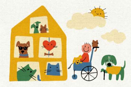 Safe Haven for 100 special strays in Colombia