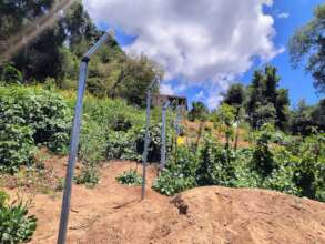 GuateBuena Ecological Project 4