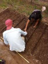 Preparing the soil for planting