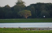 Initiative to Anavilundawa Bird Sanctuary Conserve
