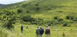 Qolweni community garden