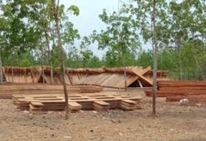 Illegally logged wood (Photo from PLCN).