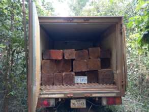 Logs Transportation