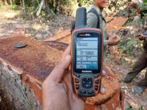 PLCN members continue to document illegal logging.