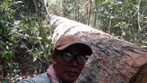 A PLCN member poses with a tree he found on patrol