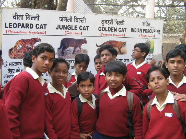 A Silent Revolution - Helping the helpless