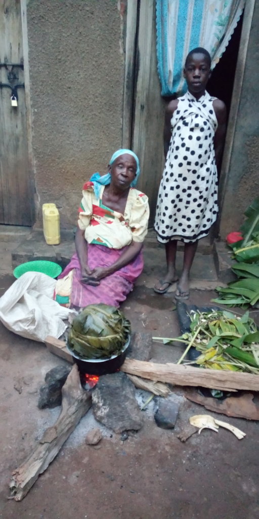 Sustain 160 Children Living with HIV in Luwero