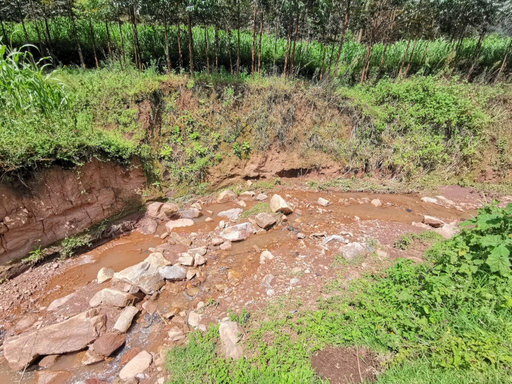 Water - Donate This Gift to 170 Kids in Uganda