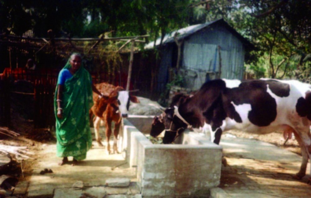 Job Placement of 100 Bangladeshi Women