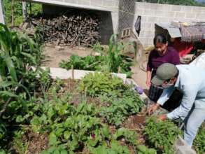 Family garden program addressing nutritional needs