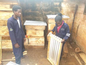 Bee hive production ongoing