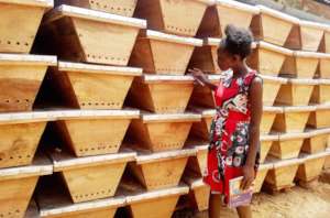 Production of bee hives for honey production