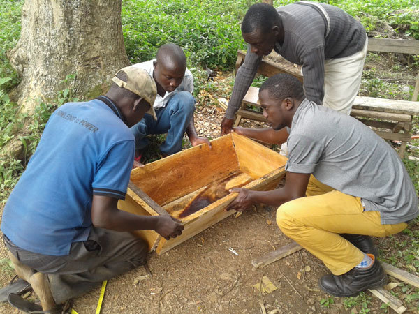 Support 1000 young mothers with beehives in Uganda