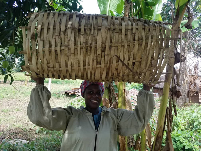 Beehive made of bamboo and cow dung