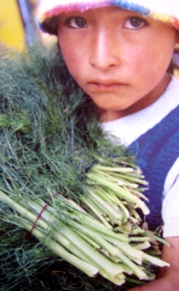Santiago de Tuna photo--child