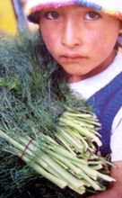 Santiago de Tuna photo--child