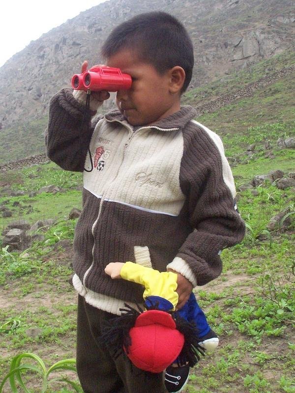 Primary School Environmental Education