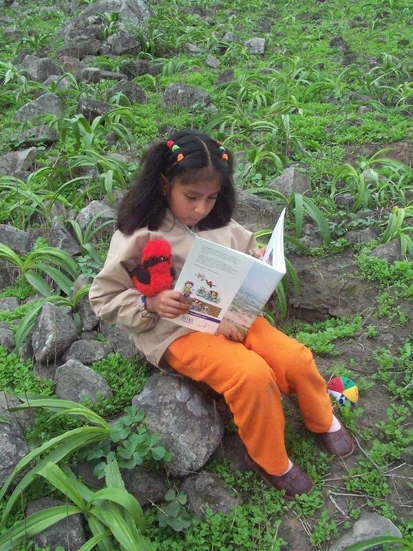 Primary School Environmental Education