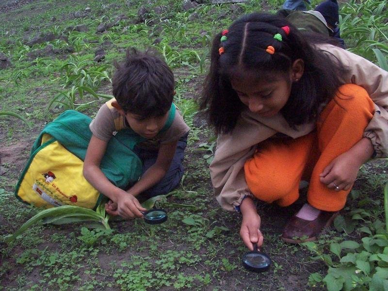 Primary School Environmental Education