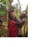 Keep 15 HIV Orphans from Rural Uganda in School
