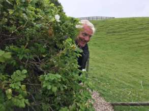 Scarborough Allotment