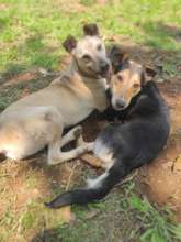 Thank you for your support!!