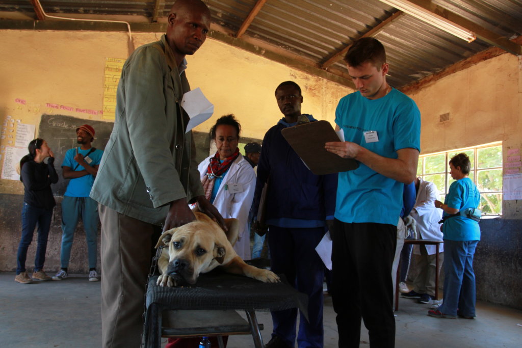 Spay and Neuter Cats and Dogs in Rural Eswatini