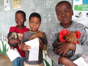 Spay and Neuter Cats and Dogs in Rural Eswatini