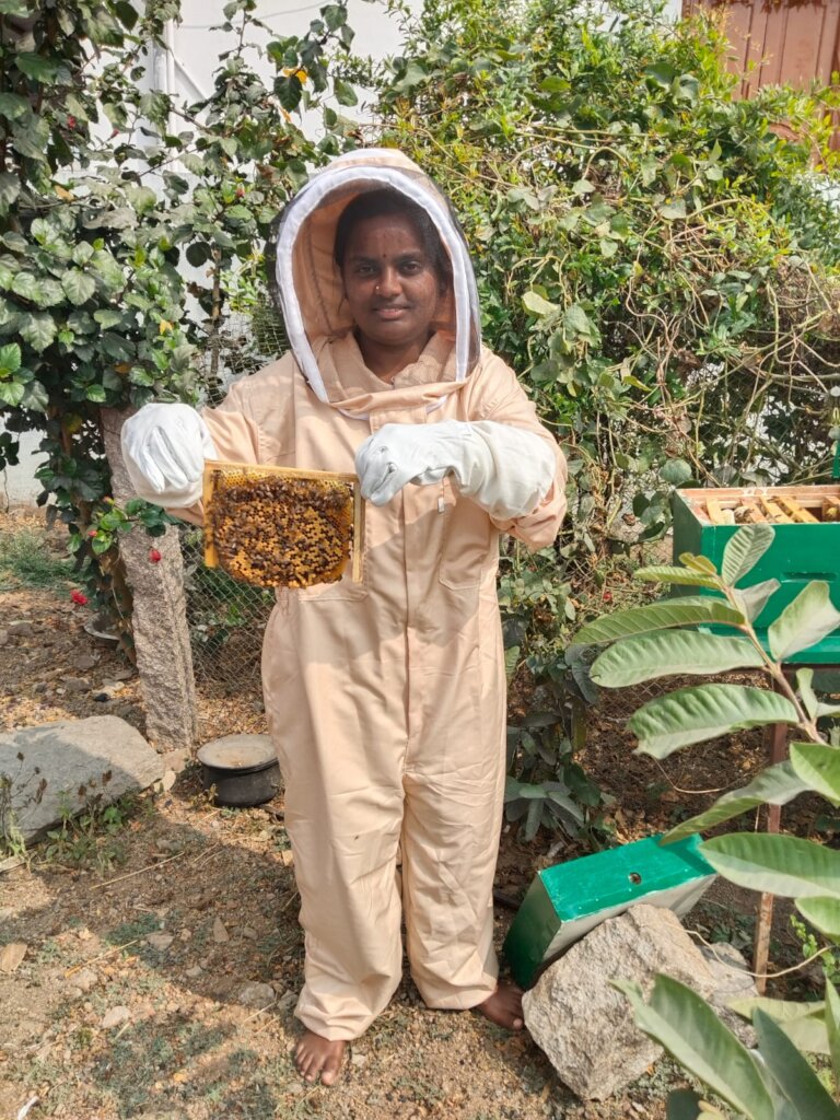 Learning honey bee farming for the first time