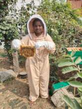 Learning honey bee farming for the first time