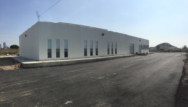 Transforming the lives of rheumatic patients