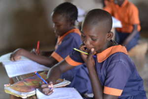 Kids Studying in the classroom