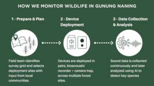 From forest planning to AI analysis Diagram