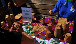 Seed planting station at recent event for teachers