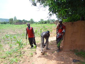 Workers at work at the farm